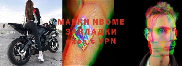 трава Няндома