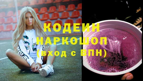трава Няндома