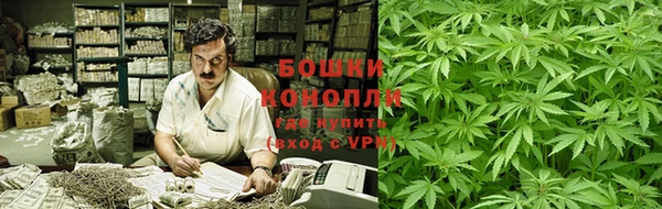трава Няндома