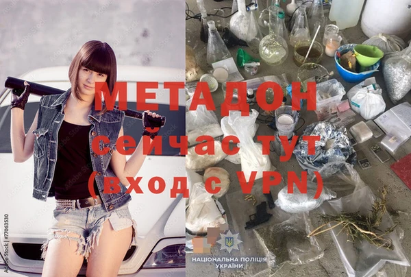 трава Няндома