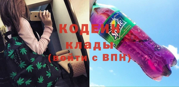 трава Няндома