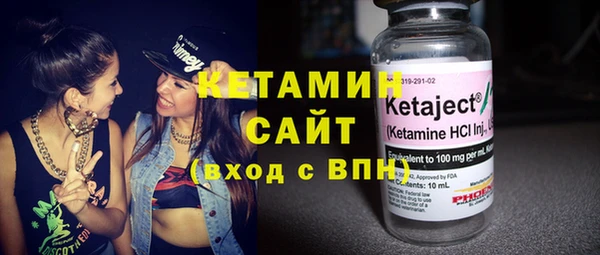 трава Няндома
