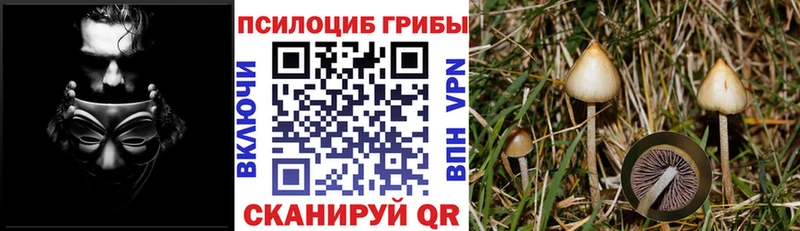 это как зайти  Касимов  Галлюциногенные грибы ЛСД 