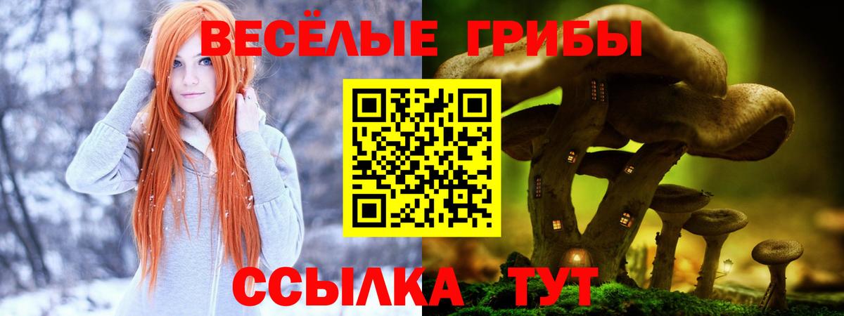 Псилоцибиновые грибы Psilocybe  Вход с VPN  Псилоцибиновые грибы мухоморы  Касимов 