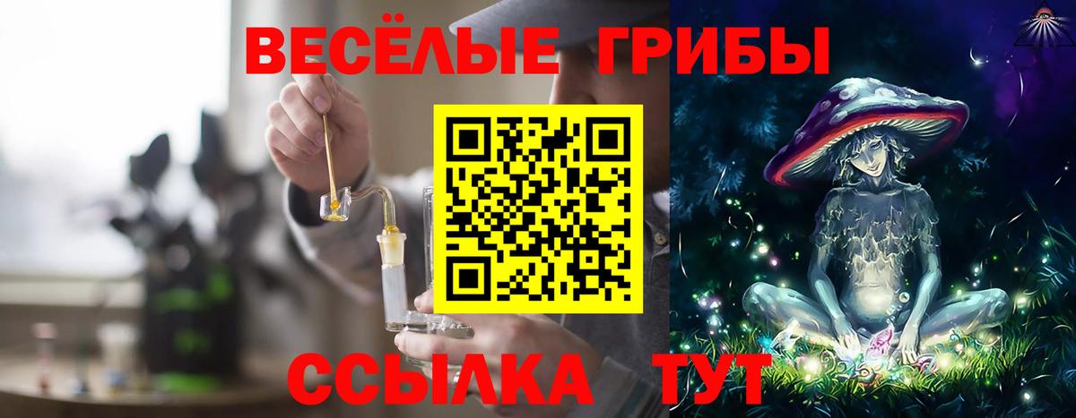 закладка  Касимов  Псилоцибиновые грибы прущие грибы 