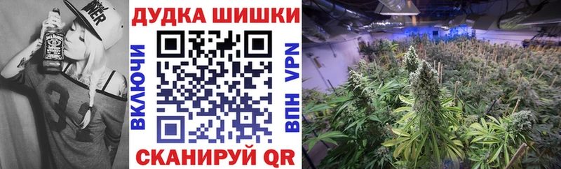 Бошки марихуана THC 21%  купить наркотик  Касимов 